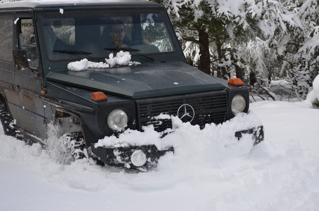 DSC_4559.JPG