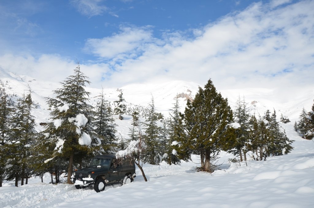DSC_4589.JPG