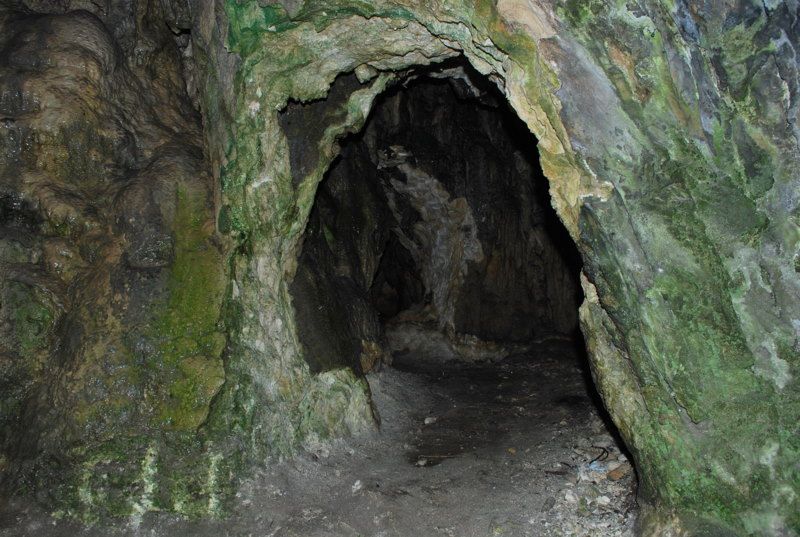 DSC_4651.jpg