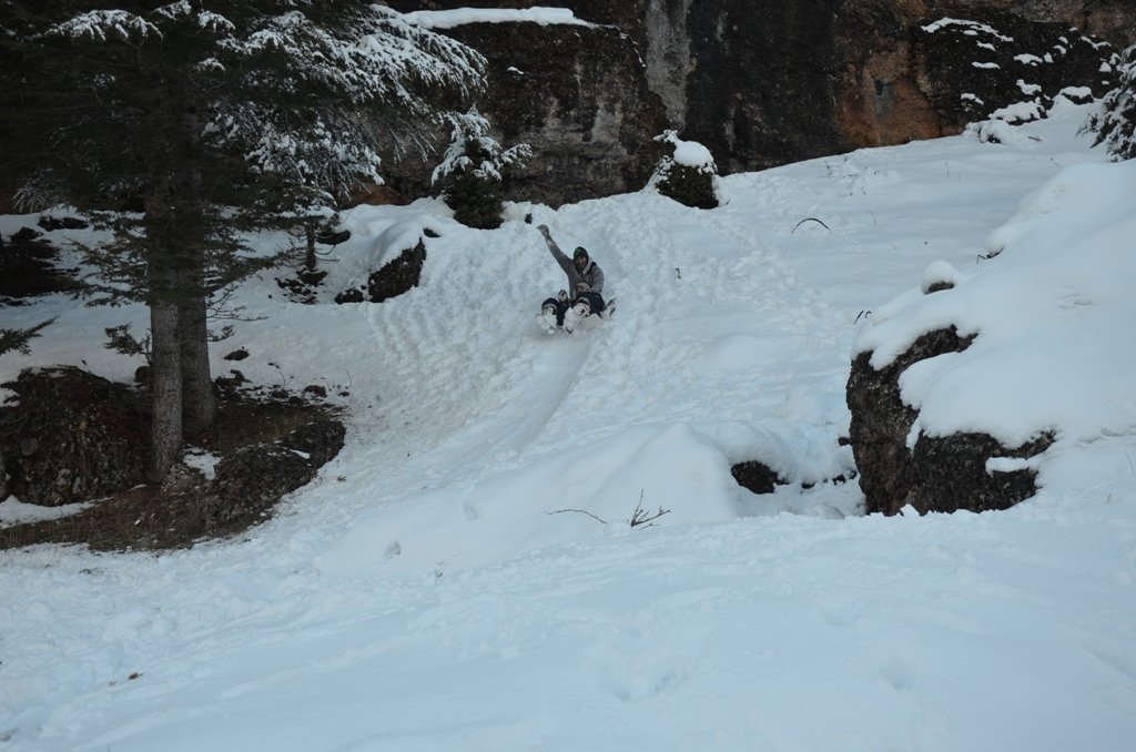 DSC_4708.JPG