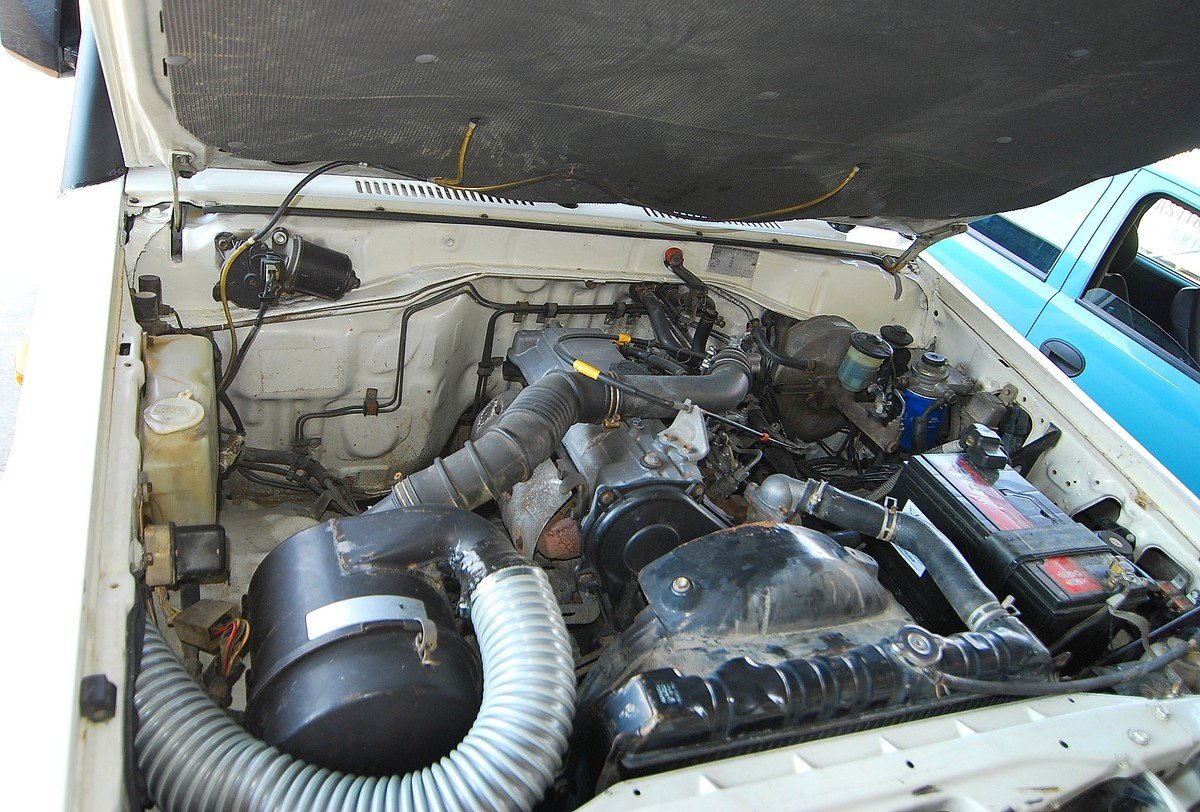 DSC_4774.jpg