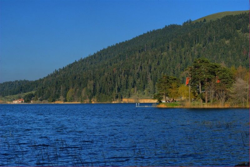 DSC_4872.jpg