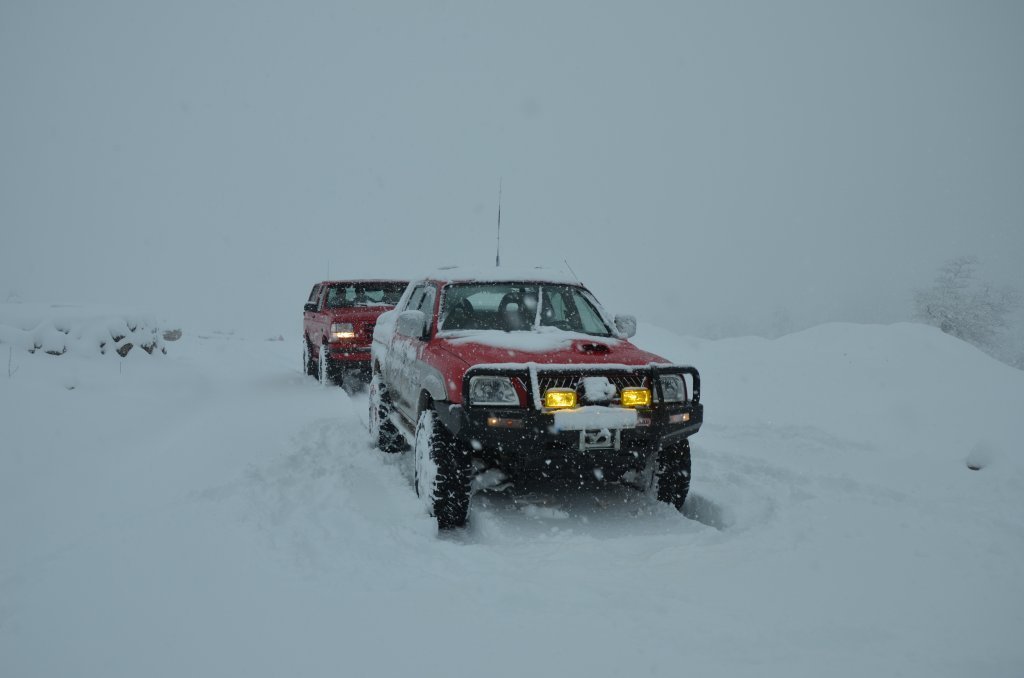 DSC_4886.JPG