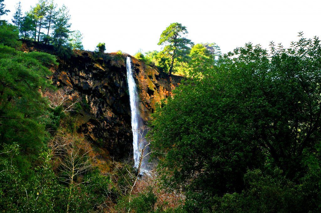 DSC_4889.JPG