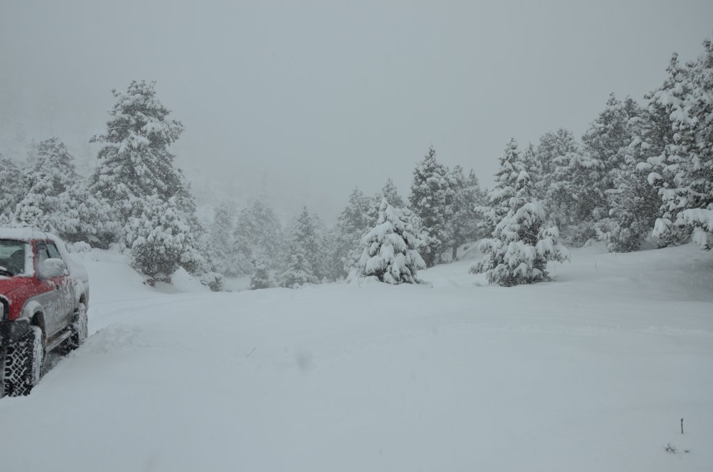 DSC_4892.JPG