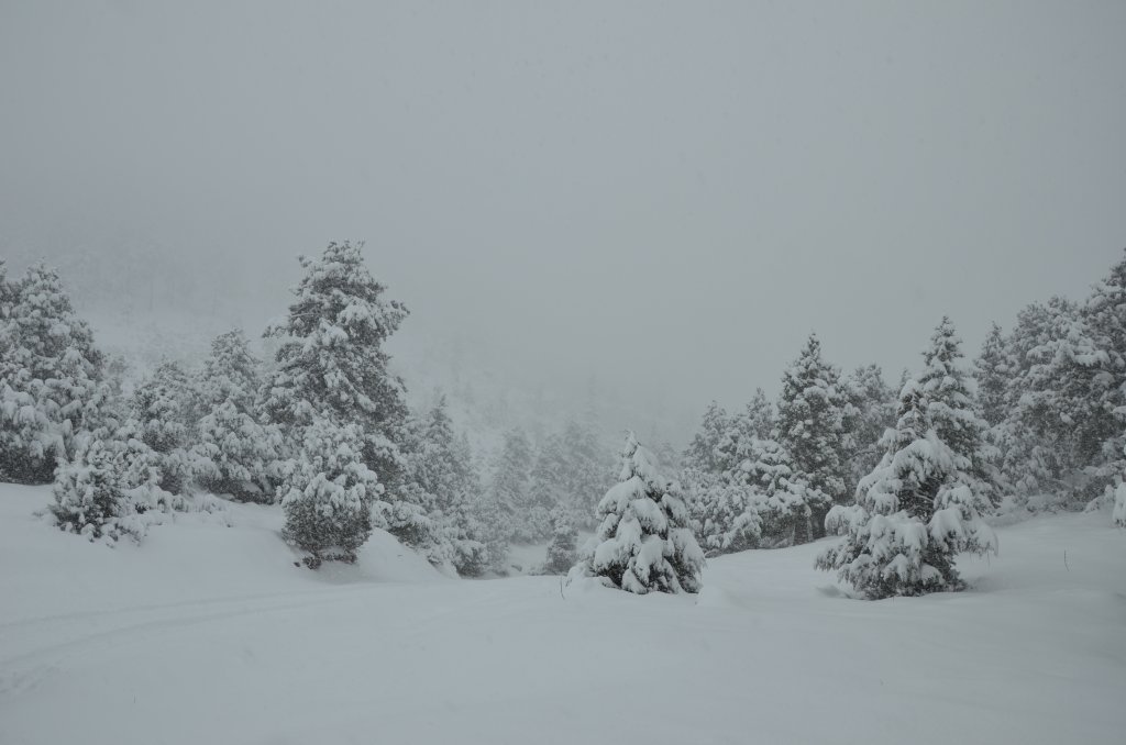 DSC_4893.JPG