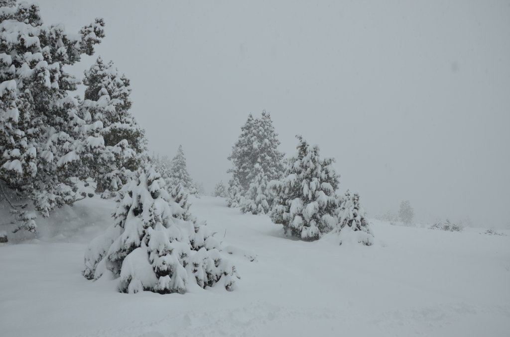 DSC_4896.JPG