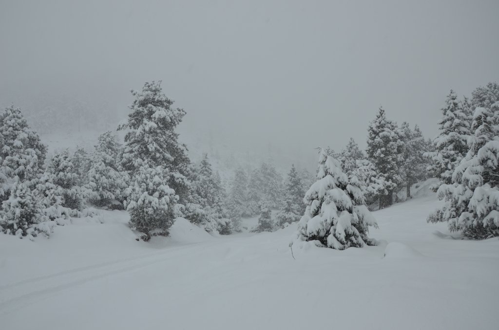 DSC_4897.JPG