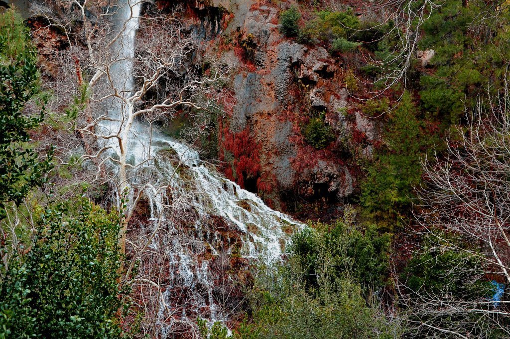 DSC_4900.JPG