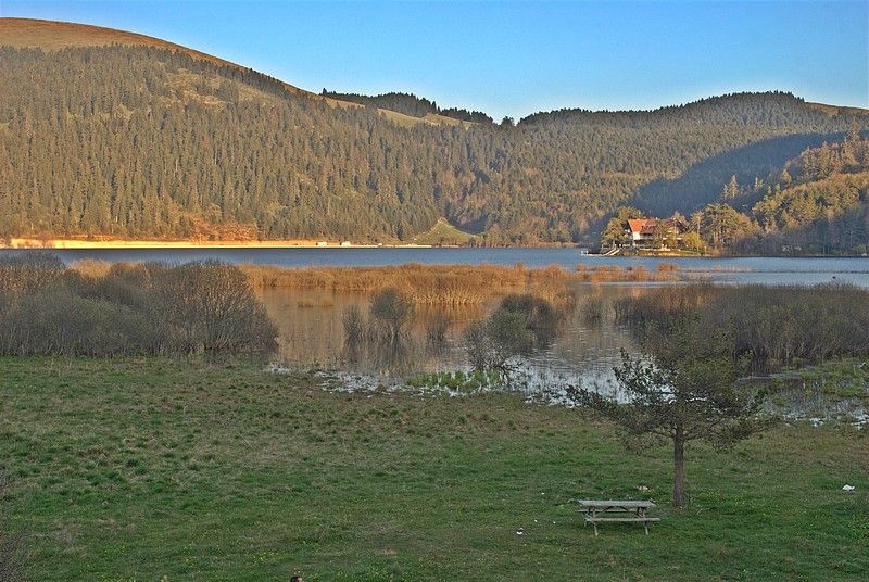 DSC_4908.jpg