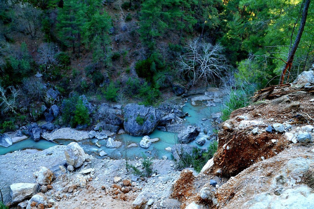 DSC_5013.JPG