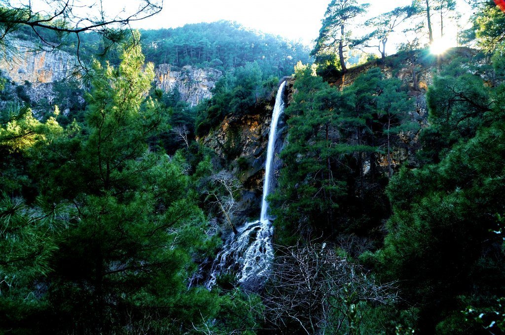 DSC_5029.JPG