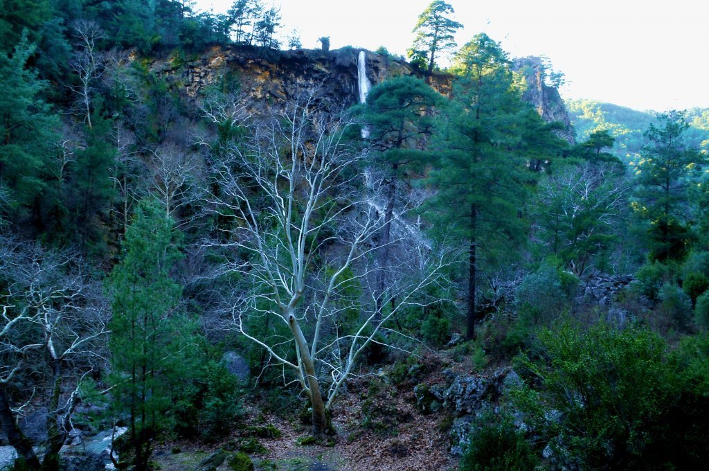 DSC_5040.JPG