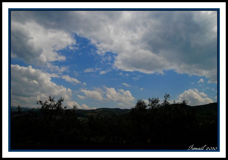 DSC_5041.jpg