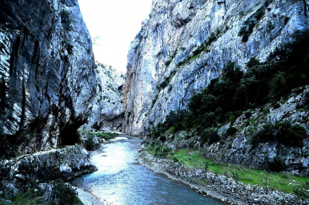 DSC_5052.JPG