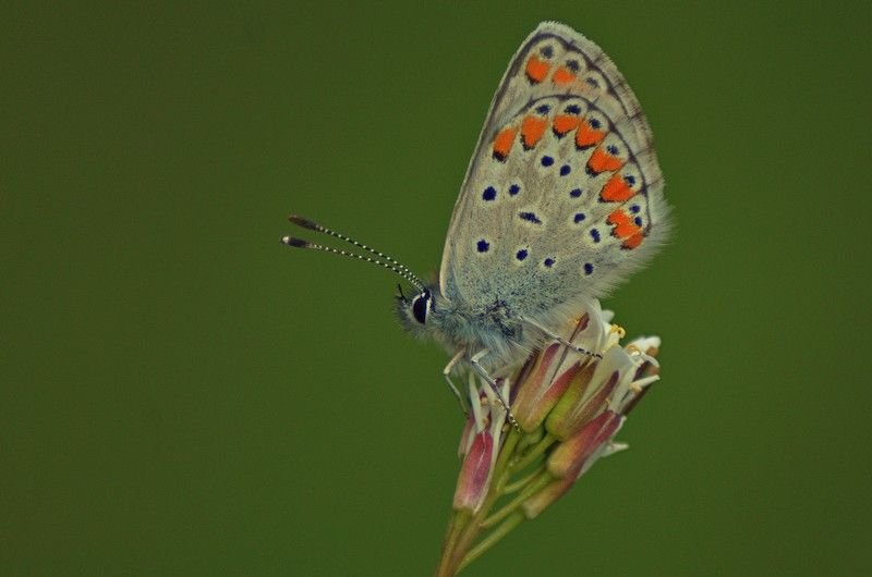 DSC_5058.jpg