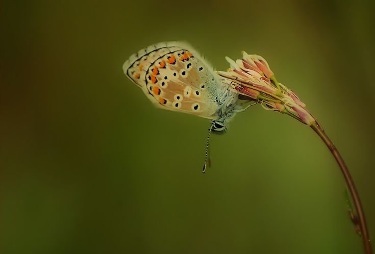 DSC_5122.jpg