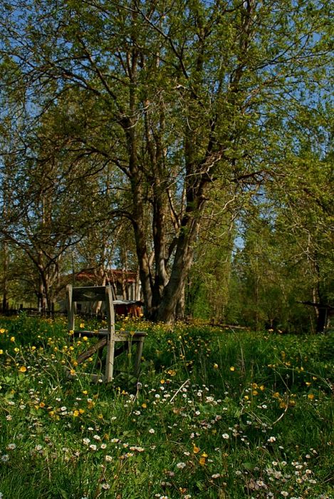 DSC_5219.jpg