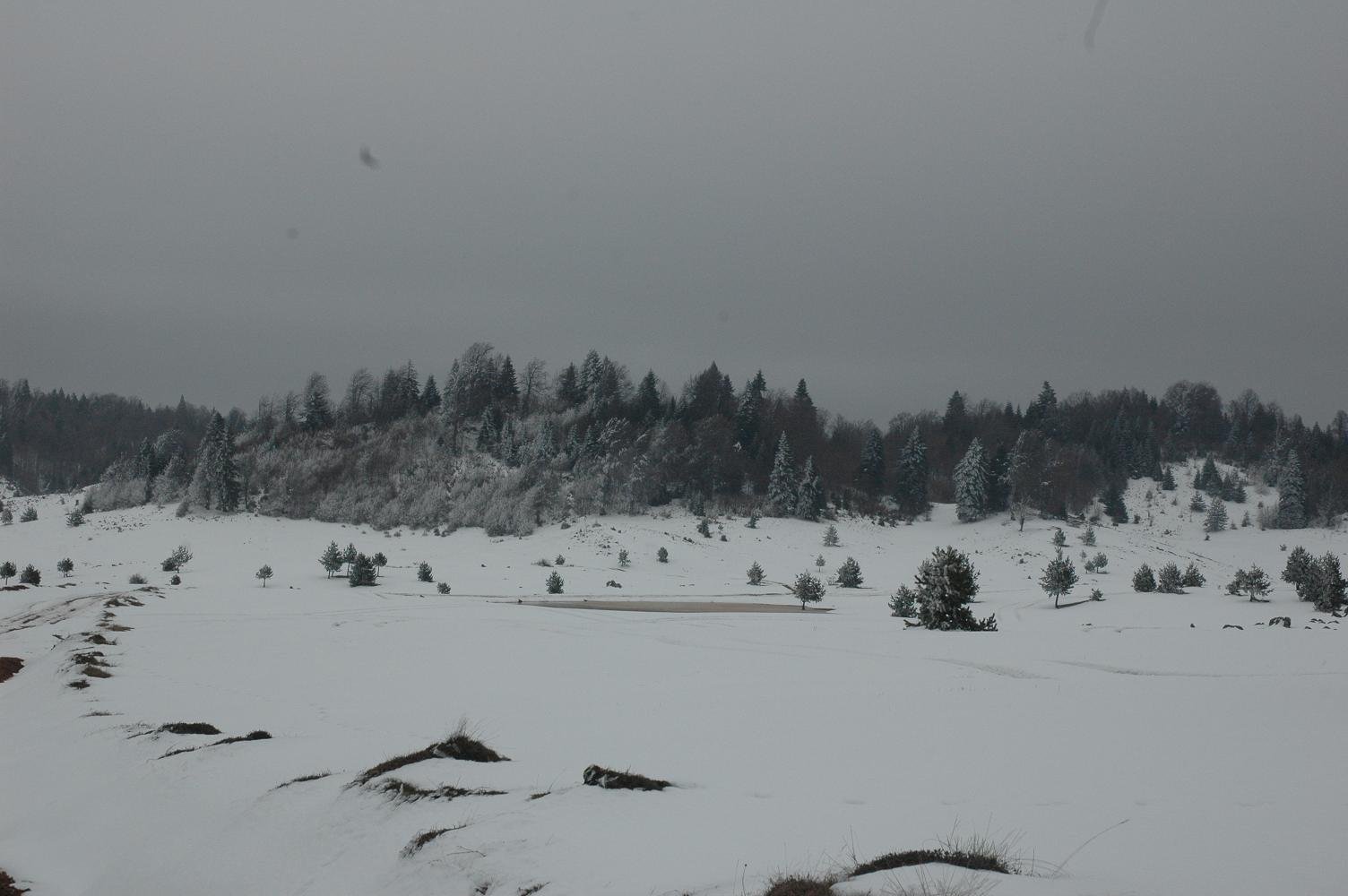 DSC_5227.jpg