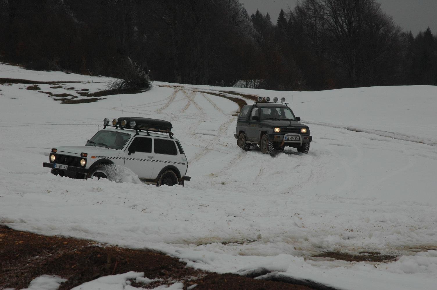 DSC_5232.jpg