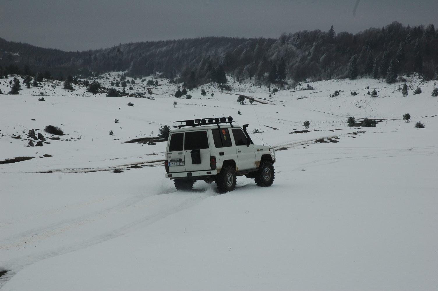 DSC_5237.jpg