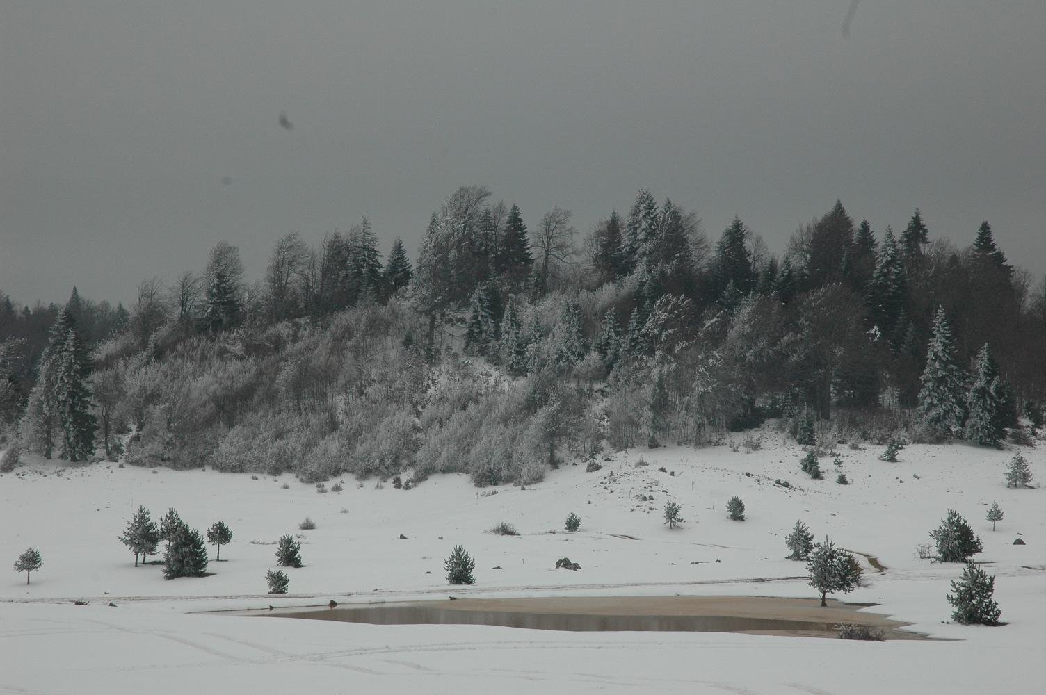 DSC_5241.jpg