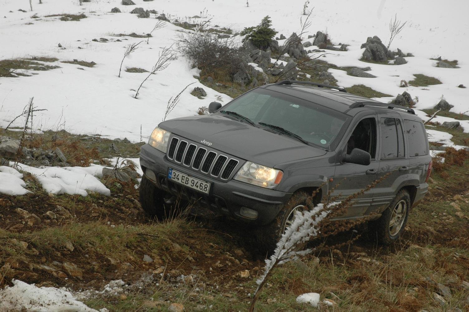 DSC_5264.jpg