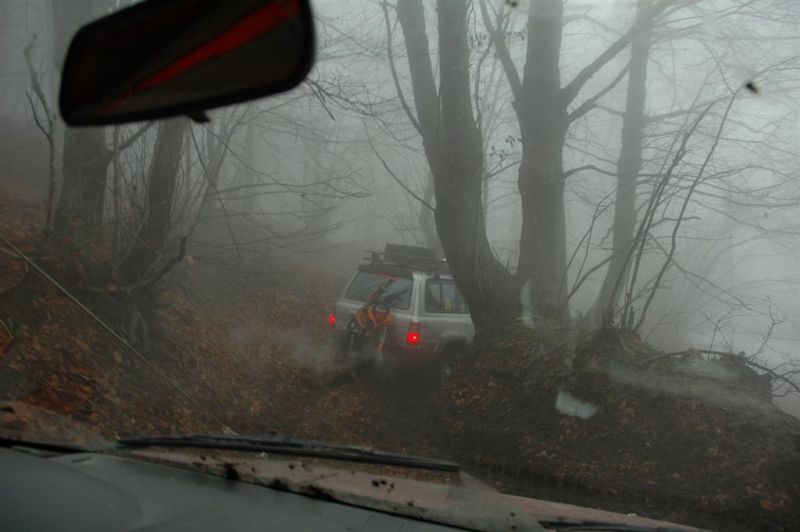 DSC_5350.jpg