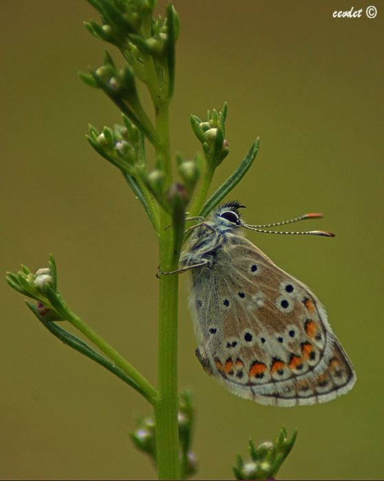 DSC_5402.jpg