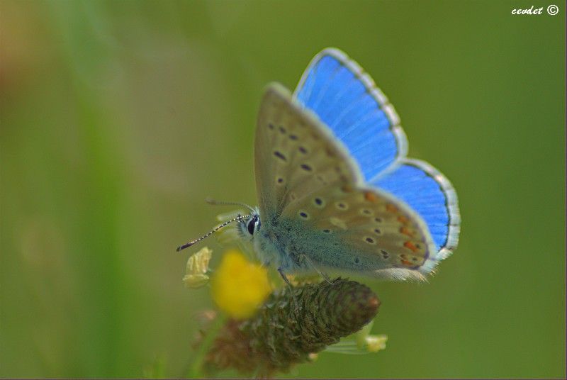 DSC_5409.jpg