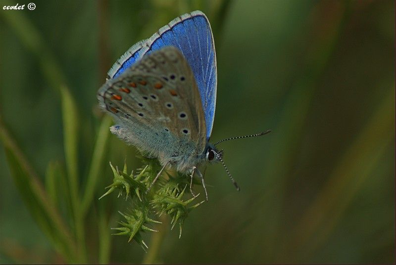 DSC_5441.jpg