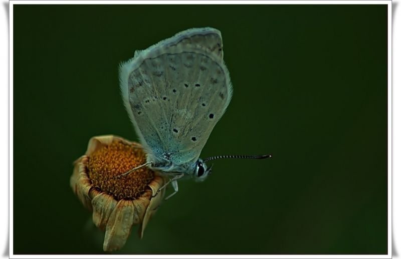 DSC_5510.jpg