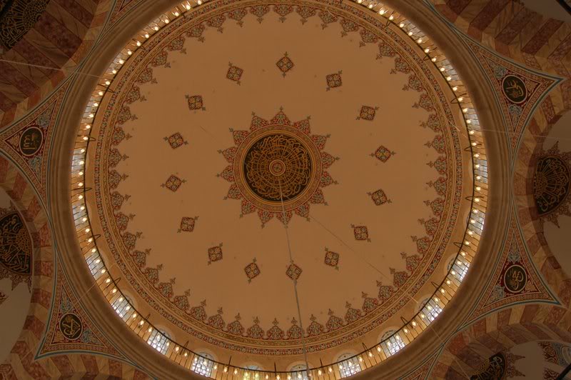 DSC_5516.jpg