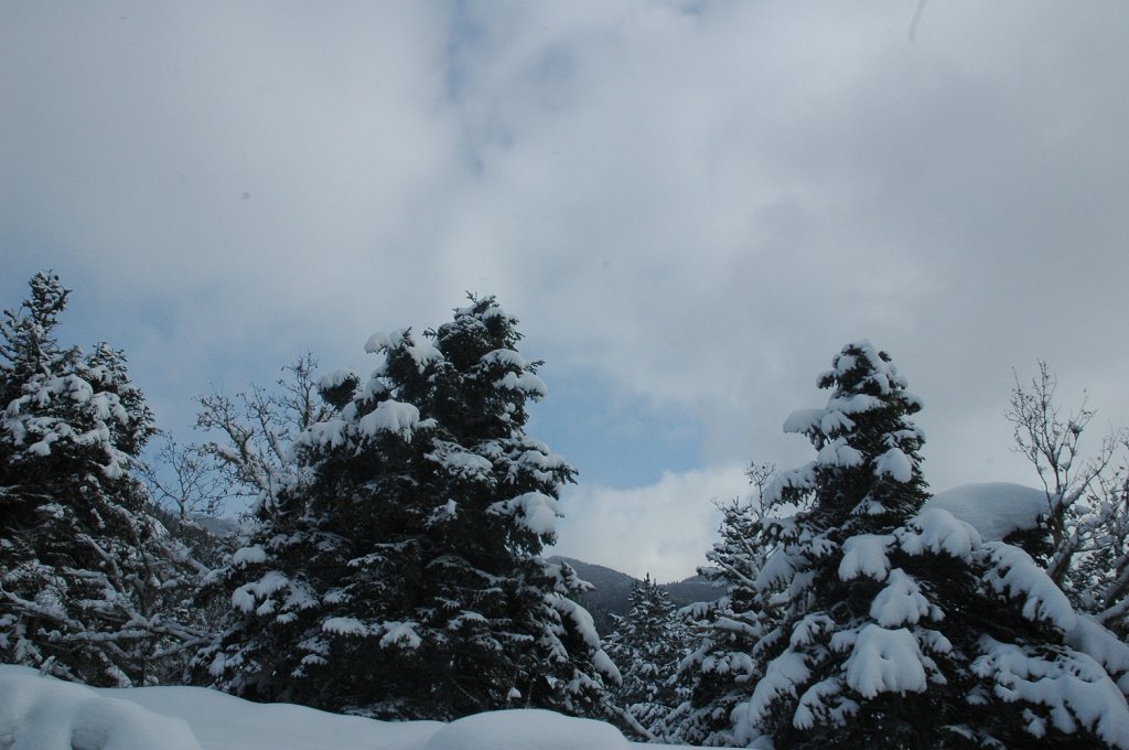 DSC_5633.JPG