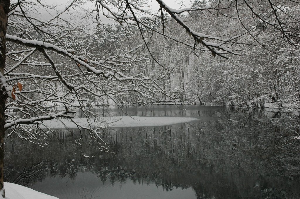 DSC_5730.JPG