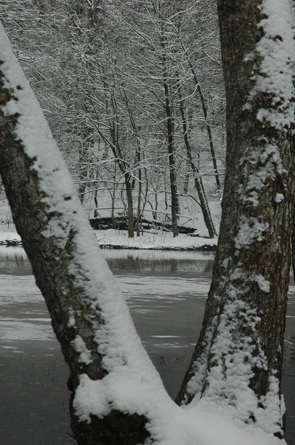 DSC_5762.jpg
