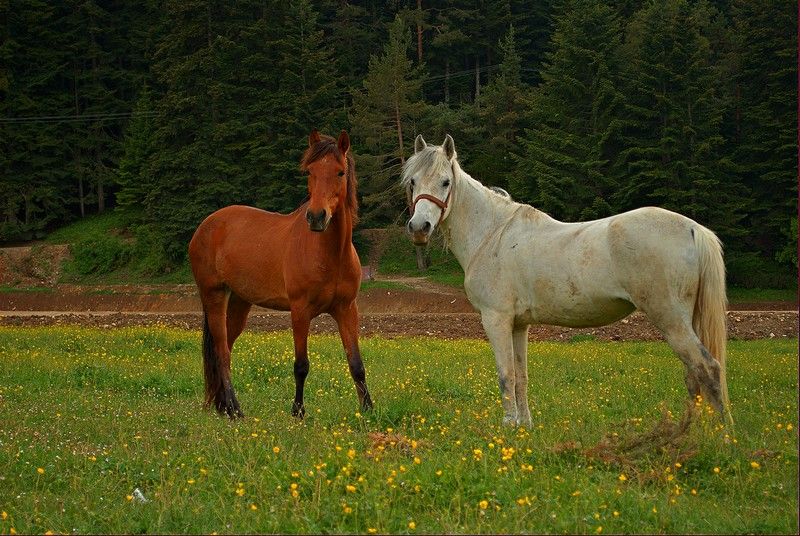 DSC_5763.jpg