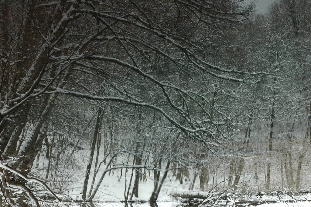 DSC_5767.JPG