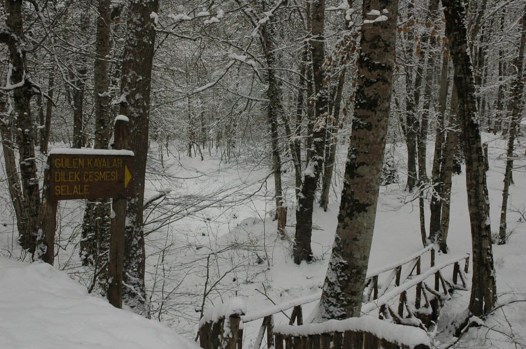 DSC_5804.JPG