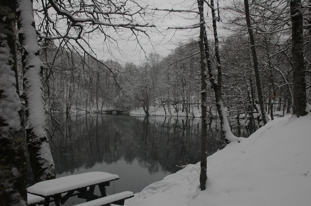 DSC_5838.JPG