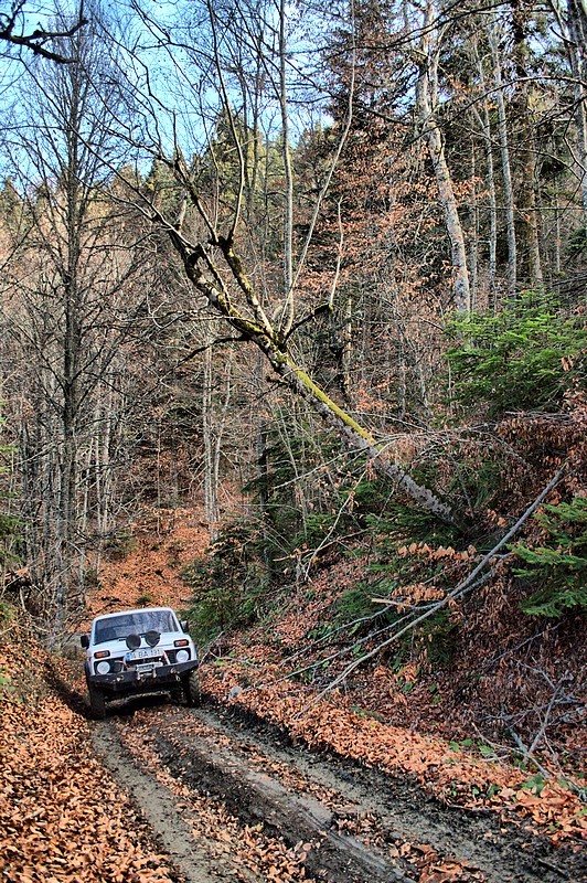 DSC_6297_fhdr.jpg