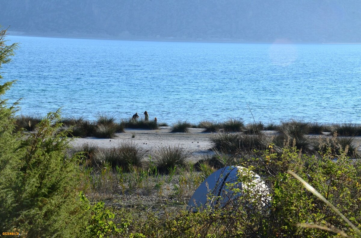 DSC_6524.JPG