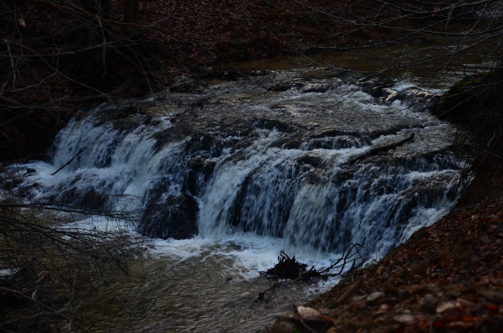 DSC_6992.JPG
