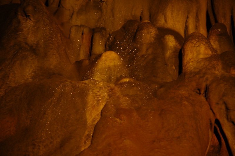 DSC_7085-1.JPG