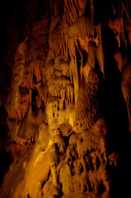 DSC_7087-1.JPG
