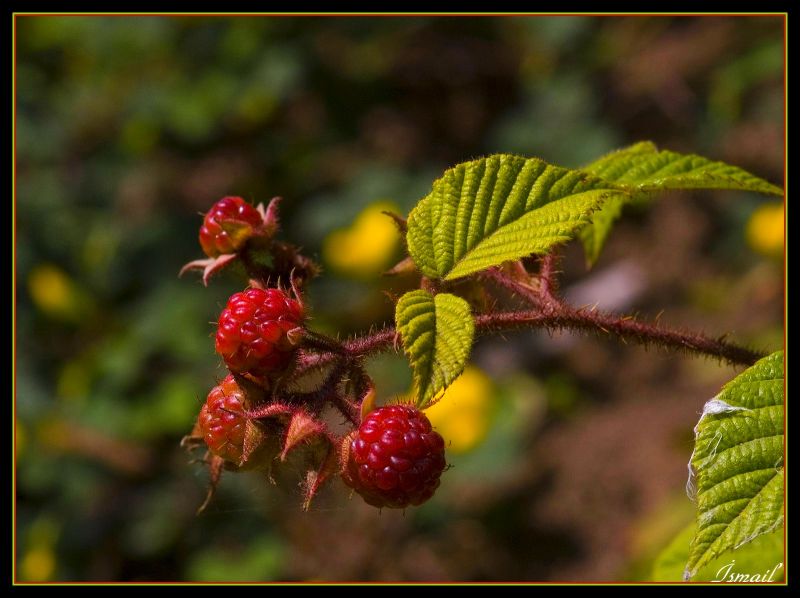 DSC_71581560.jpg