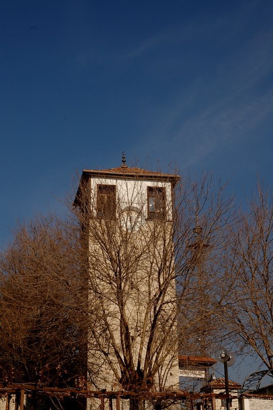 DSC_7163-1.JPG
