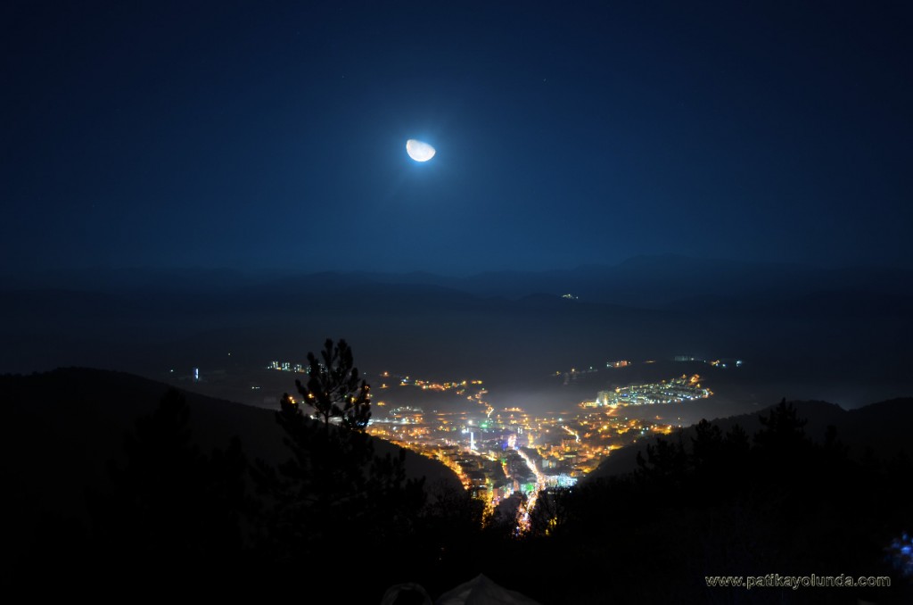 DSC_7194_4.jpg