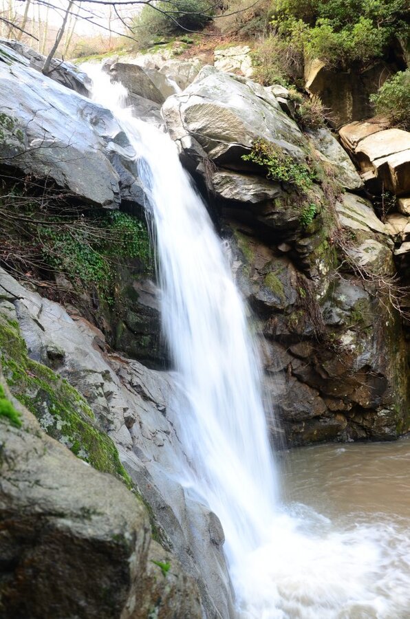 DSC_7212.JPG