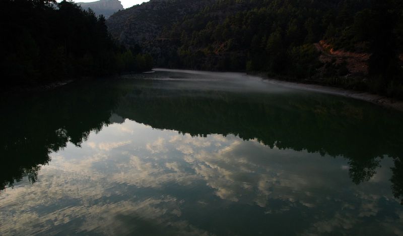 DSC_7230.jpg